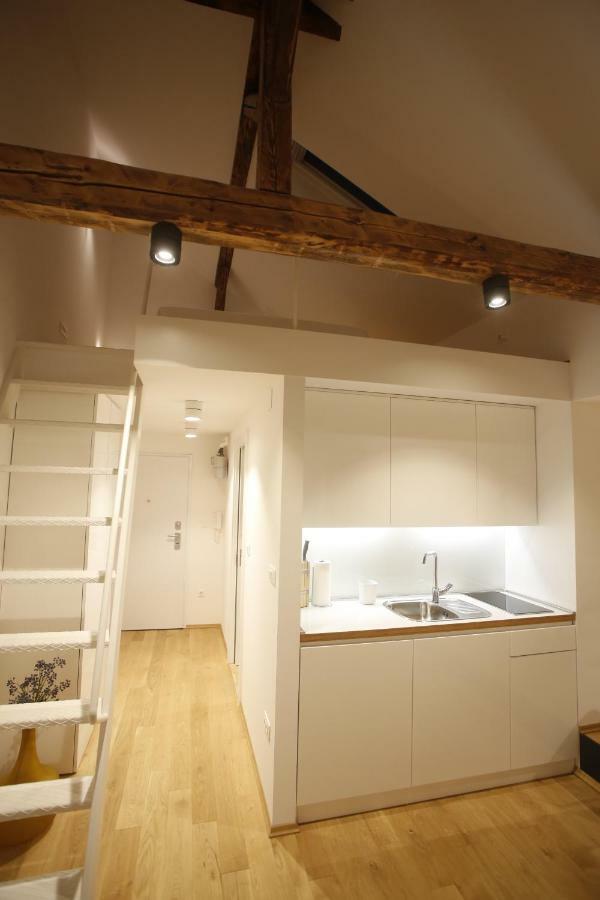 Studio Apartman Olaf Zagreb Bagian luar foto